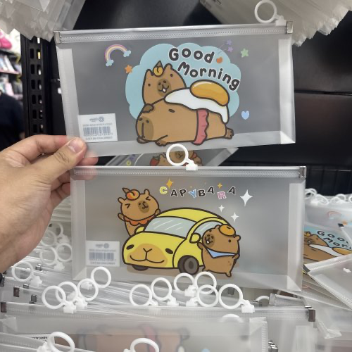 Pasta de plástico para documentos