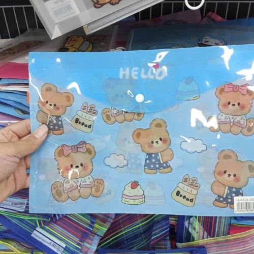 PASTA PARA DOCUMENTO URSINHO