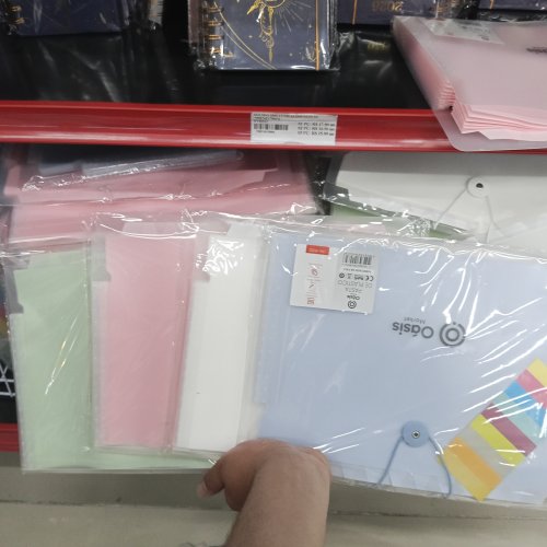 PASTA DE PLÁSTICO COM DIVISÓRIAS OÁSIS