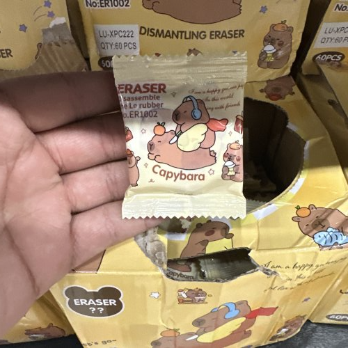 Borracha escolar capivara