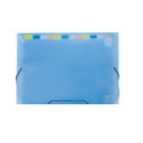 PASTA SANFONADA 12 DIVISORIAS A4