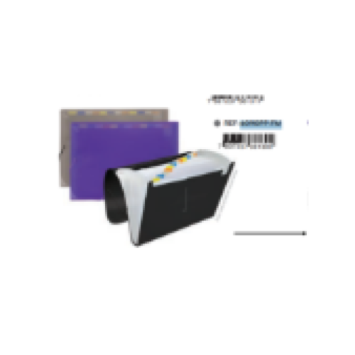 PASTA  SANFONADA 12 DIVISORIA A4 COM ETIQUETA PARA IDENTIFICAÇÃO