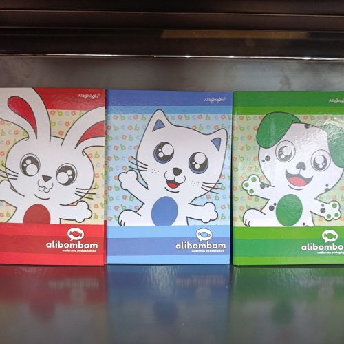 CADERNO BROCHURAO COM E SEM PAUTA NUMERADO