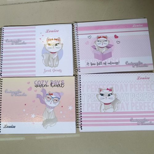 CADERNO DE CARTOGRAFIA E DESENHO 96 FOLHAS LUISE