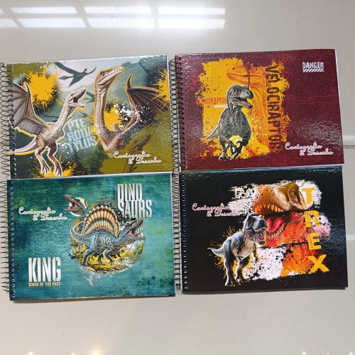 CADERNO CARTOGRAFIA E DESENHO 96 FOLHAS DINO
