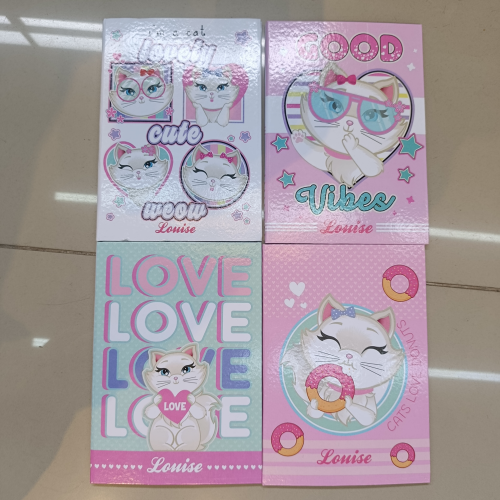 CADERNO BROCHURÃO CAPA DURA COSTURADO 96 FOLHAS LOUISE