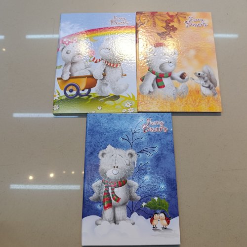 CADERNO BROCHURÃO CAPA DURA COSTURADO 96 FOLHAS FURRY BEARS