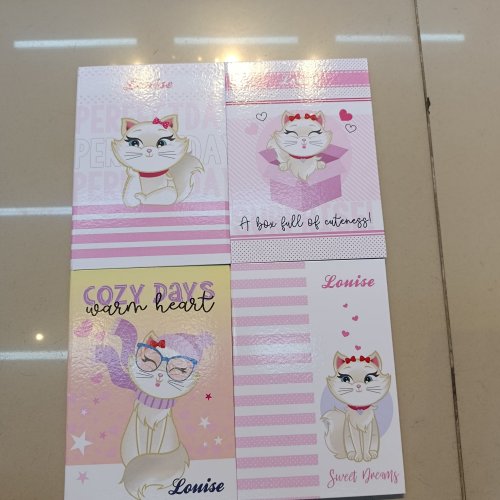 CADERNO BROCHURÃO CAPA DURA COSTURADO 96 FOLHAS LOUISE