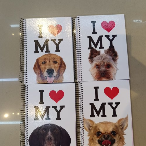 CADERNO CAPA DURA DE ARAME 200 FOLHAS DOGS