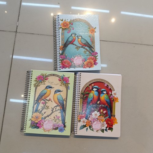 CADERNO CAPA DURA DE ARAME 200 FOLHAS LOVE BIRD