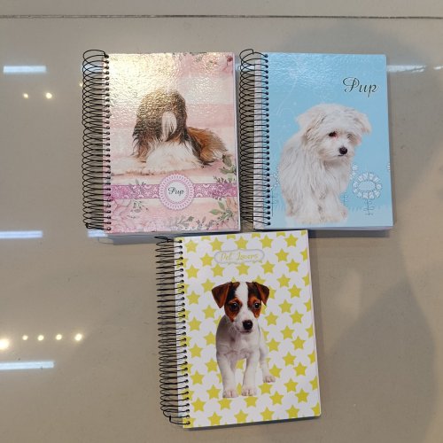 CADERNO CAPA DURA DE ARAME 400 FOLHAS PUP