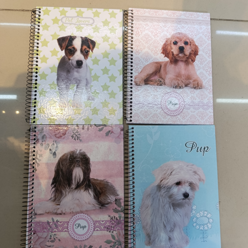 CADERNO CAPA DURA ARAMADO 96 FOLHAS PUP