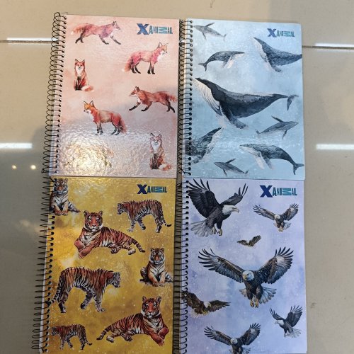 CADERNO CAPA DURA ARAMADO 96 FOLHAS X-ANIMAL