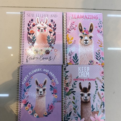 CADERNO CAPA DURA ARAMADO 96 FOLHAS LLAMAS