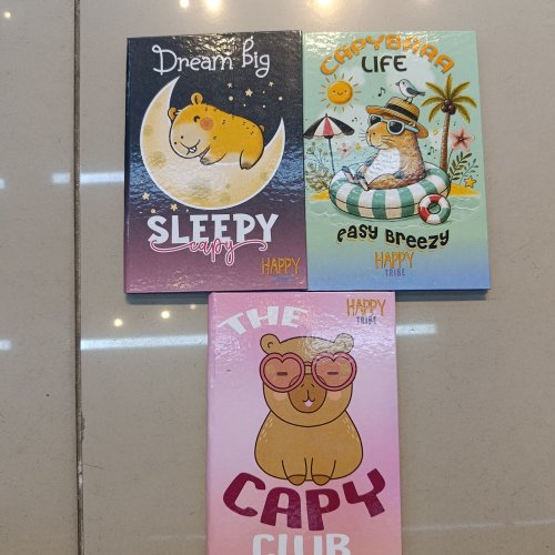 CADERNO BROCHURÃO COSTURADO PEQUENO 1/4 96 FOLHAS