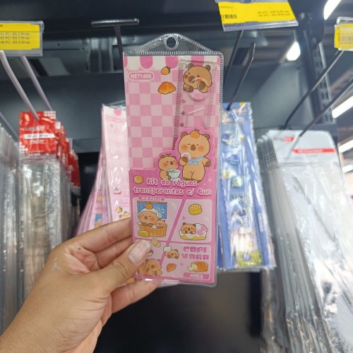 Kit régua infantil capivara