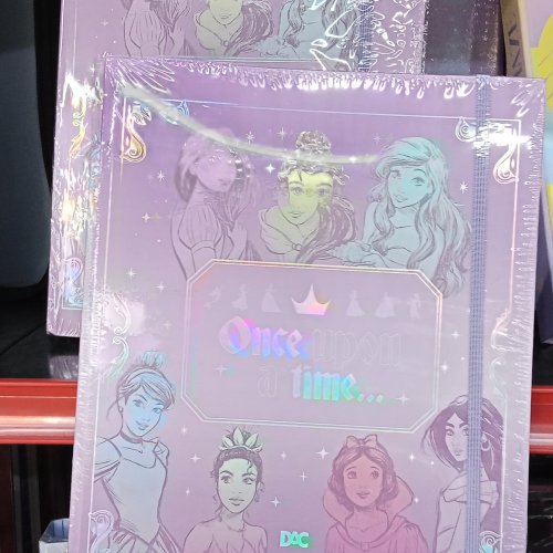 Fichario universitário princesas