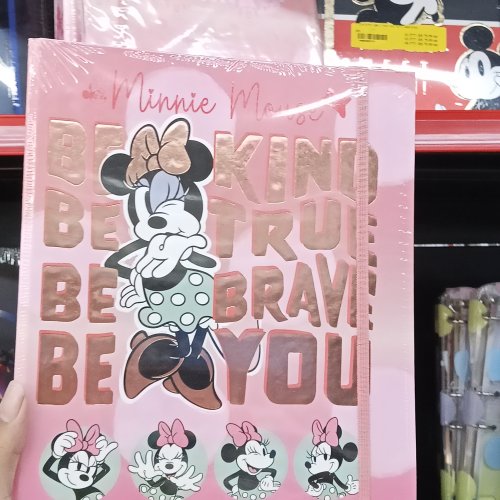 Fichário universitário minnie