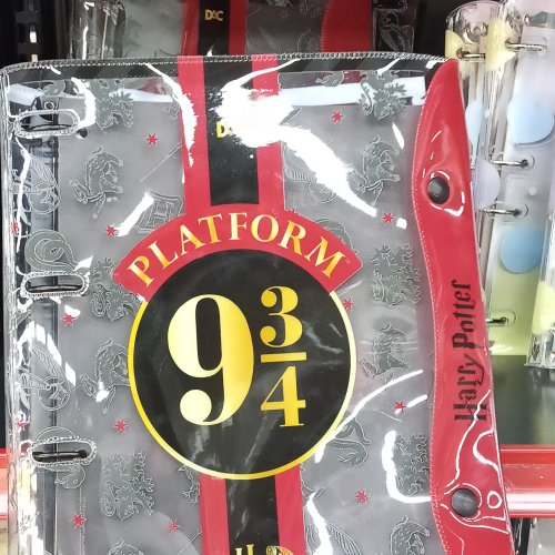 Fichário universitário Harry Potter