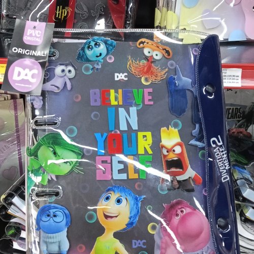 Fichário universitário divertida mente 2