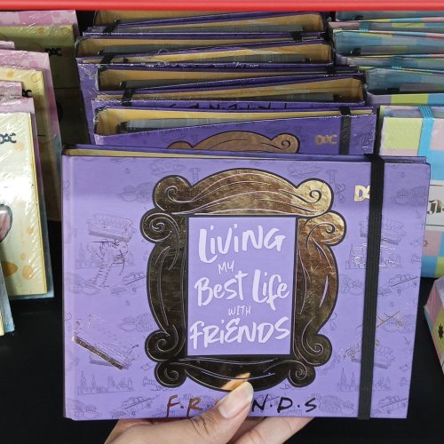 Mini fichário universitário friends