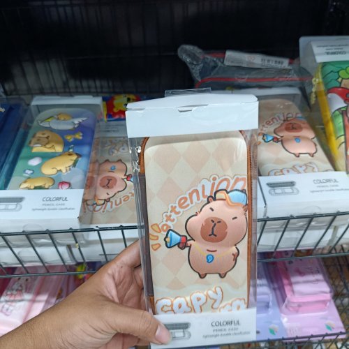 Estojo com divisórias capivara