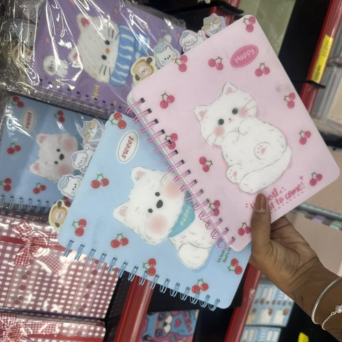 CADERNO ESPIRAL COM DIVISORIAS