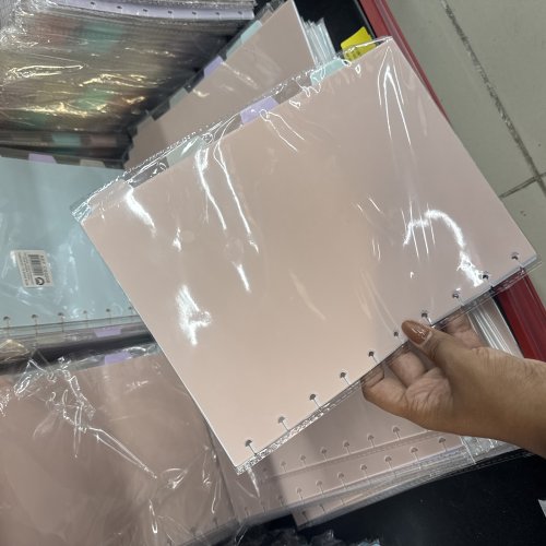 DIVISORIA PARA CADERNO INTELIGENTE GRANDE