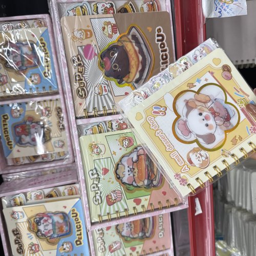 CADERNO DE ANOTAÇÃO COM DIVISORIA