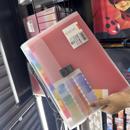 PASTA SANFONADA DE 12 DIVISORIAS