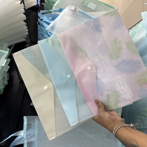 PASTA DOCUMENTO PALMEIRA