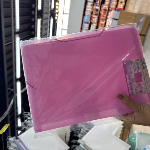 PASTA SANFONADA LINE A4 325mmx230mm/C12 DIVISÕES ROSA