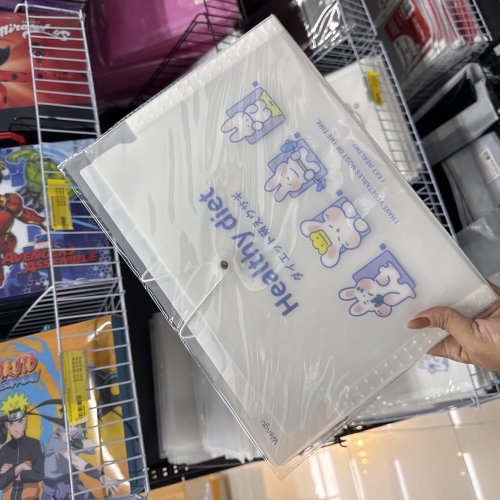 PASTA SANFONADA A4 8 DIVISORIAS