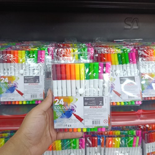 24 canetas pincel ponta dupla