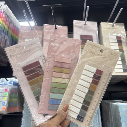 CONJUNTO DE CADERNO E BLOCOS