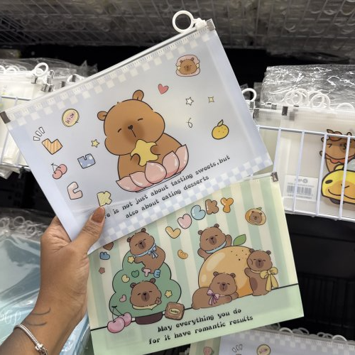 PASTA PLÁSTICA CAPIVARA